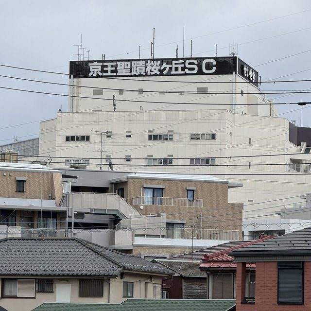 聖蹟桜ヶ丘的魅力：購物、美食與休閒的完美結合