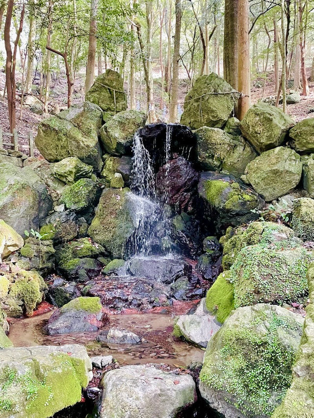 【京都府】パワフルな磐座が目前