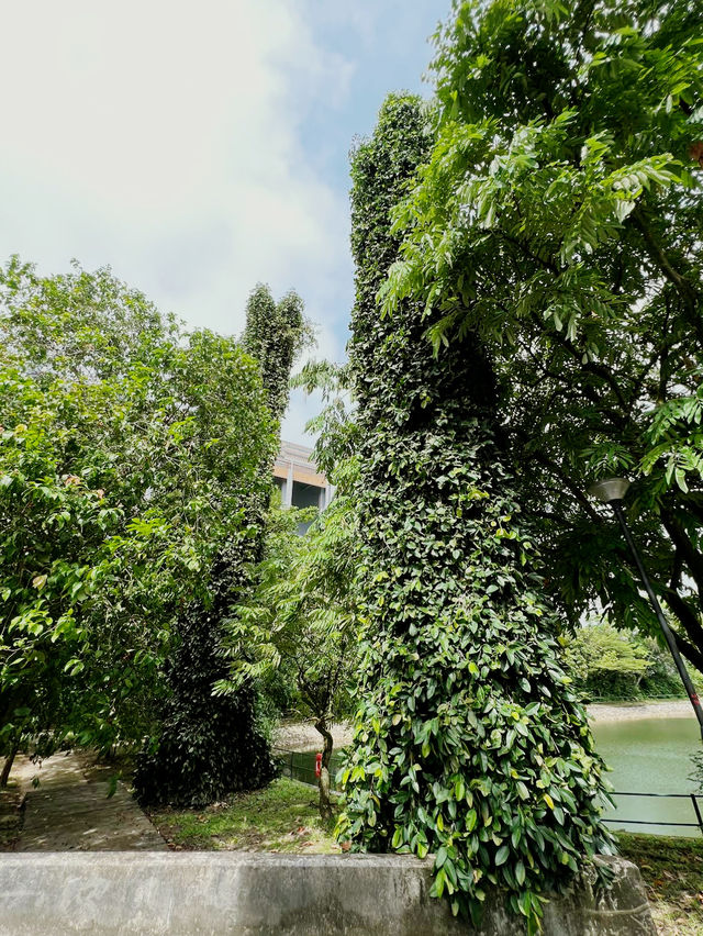 A Day at HortPark: Singapore’s Gardening Haven