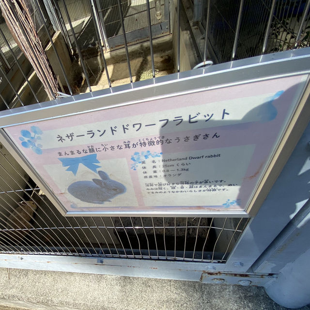 知多半島の旅　明治天皇縁の地　雁宿公園