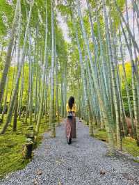 【京都/紅葉スポット】お部屋の中から見る中庭と枯山水が見事なお寺🍂🌾