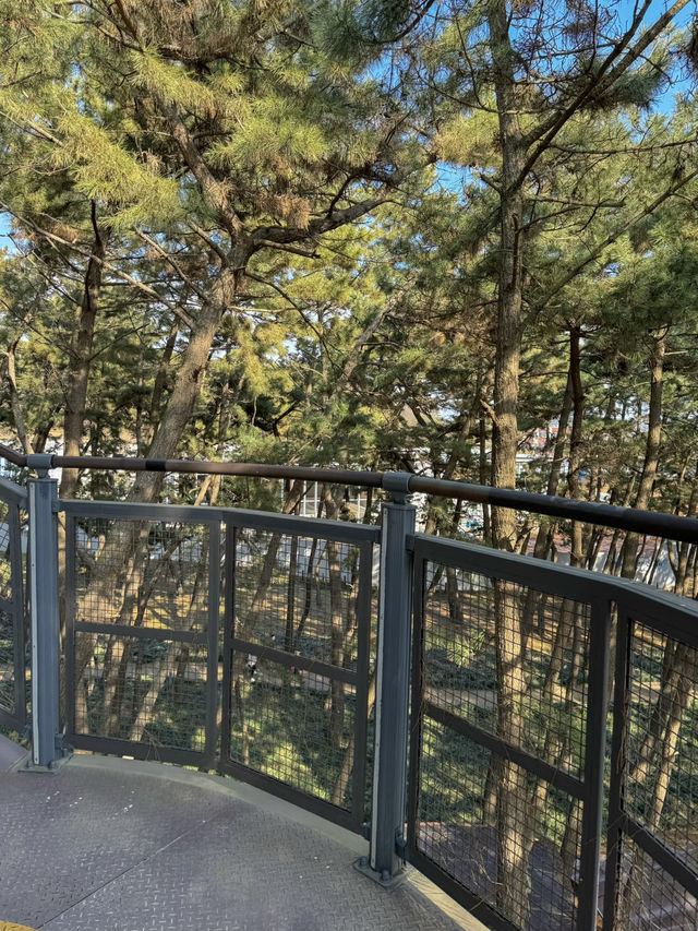 산책하며 멋진 바다와 숲 풍경을 즐길 수 있는 곳