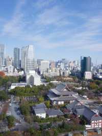 東京タワービューのお部屋が最高！