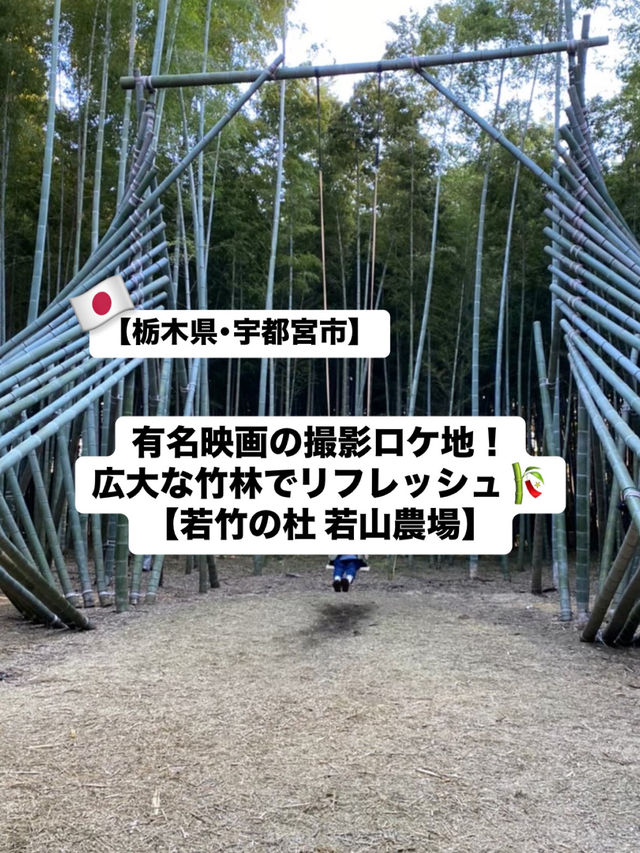 【宇都宮市】有名映画のロケ地にもなった広大な竹林🎋