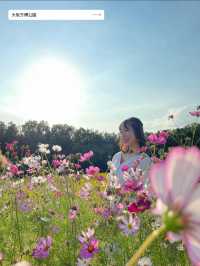 【今年の秋はどこに行く？】秋は短く儚いからしっかりお出かけの準備を🍁今年やりたいこと４選