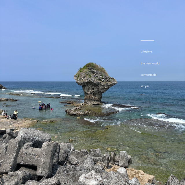 ［小琉球］花瓶岩與其生態海域和潮間帶🌊