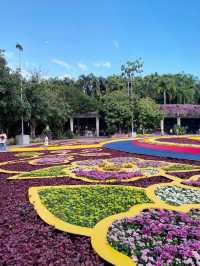 You won’t believe there are such lovely flower trails in Singapore