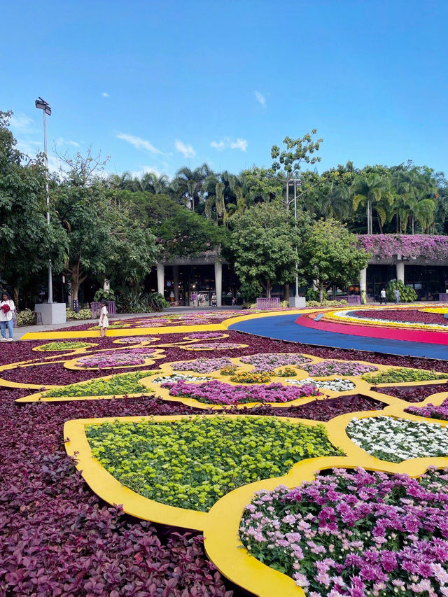 You won’t believe there are such lovely flower trails in Singapore