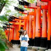 เที่ยวศาลเจ้า Fushimi Inari