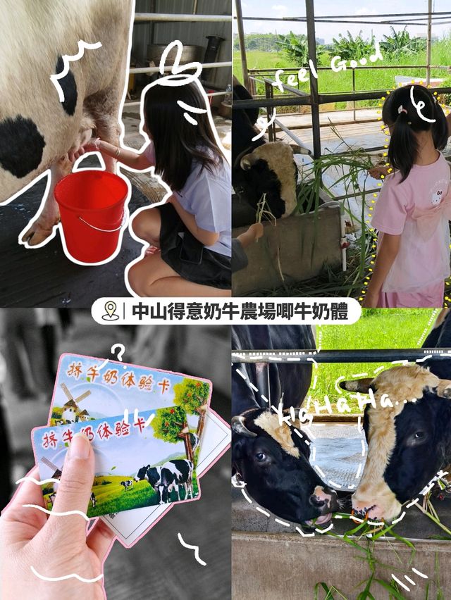 「中山得意奶牛農場」親子遊,全家共享大自然之美 「中山得意奶牛農場」親子遊,全家共享大自然之美