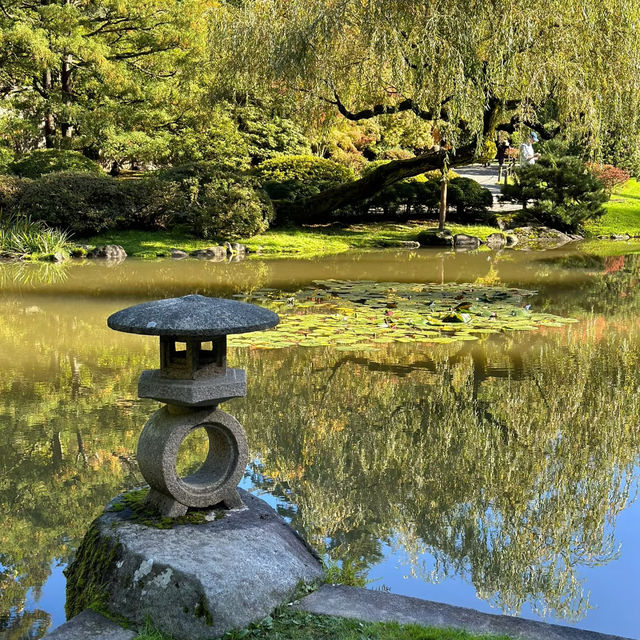 🌴大濠公園日本庭園⛳️如詩如畫🍁🌿