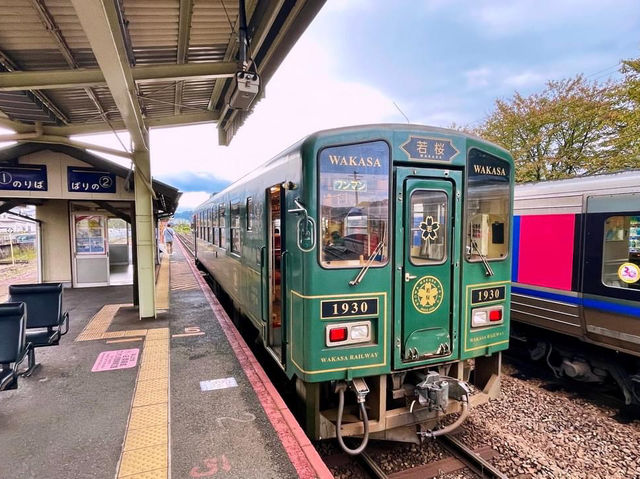 日本鳥取「若櫻鐵道」🚞