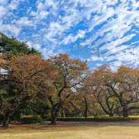 舍人公園：秋色如畫🍂🌳