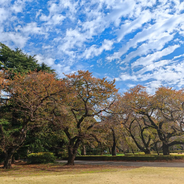 舍人公園：秋色如畫🍂🌳