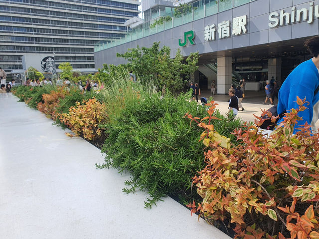 Shinjuku Station 🚞