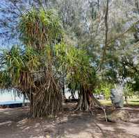 【タヒチ】 タヒチ島博物館でのフレンチポリネシアの歴史に触れる