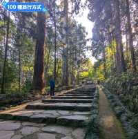 漫步參天杉木的森林參道：仙台名勝瑞鳳殿