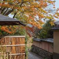 露天神社：靈性之地 ✨⛩️