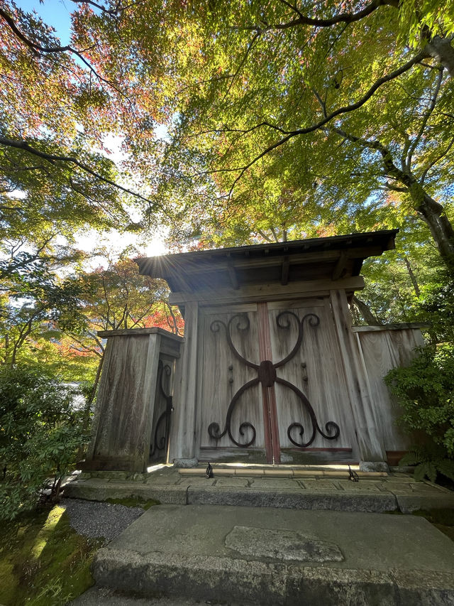 📍熱海　MOA美術館の日本庭園