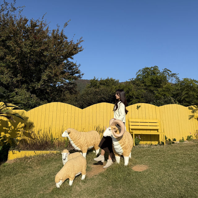 거제도의 숨은 포토스팟, 바람의핫도그 뒤 노랑버덩💛 동화 속 풍경을 만나다