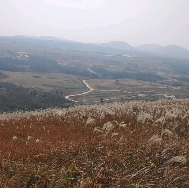 제주도의 새별오름을 올라보자!!!