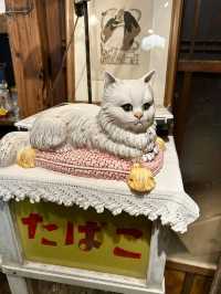 【福岡みやこ町】期間限定の落ち葉の絨毯のカフェ🍂