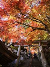 【ここ行って】お守り作り体験も⁉️パワーみなぎる天空の紅葉絶景スポット🍁