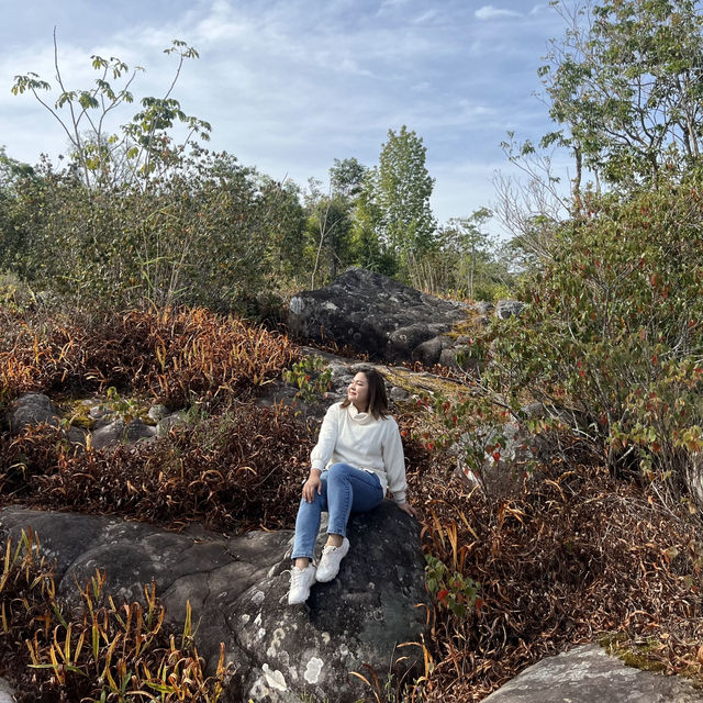 อุทยานแห่งชาติภูหินล่องกล้า ท้าลมหนาว ลานหินปุ่ม