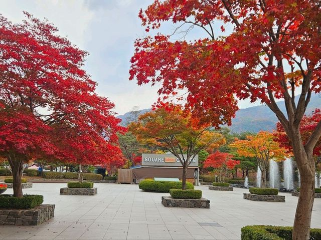 A mighty foliage scene at Sono Moon Danyang