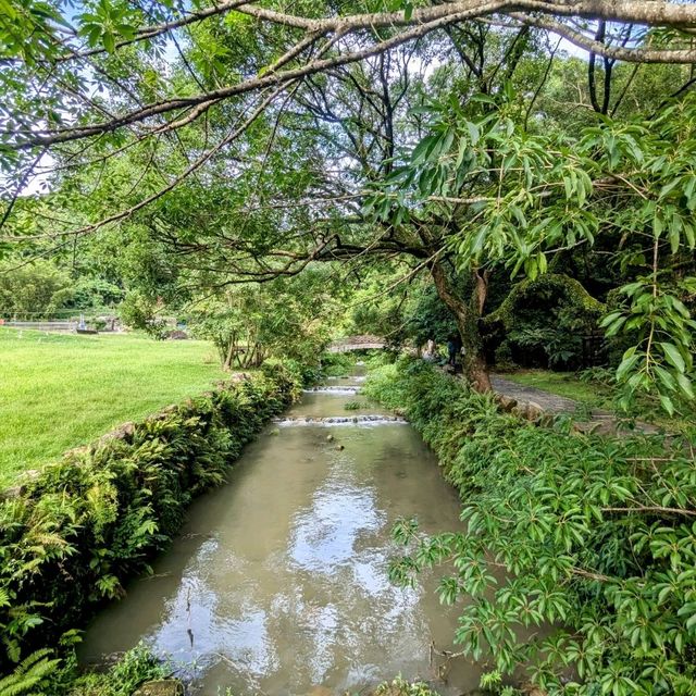 台北最佳親水步道：內湖大溝溪生態治水園區