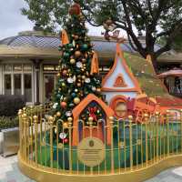上海ディズニークリスマス🎄(上海迪士尼圣诞节 Shanghai Disney Christmas)