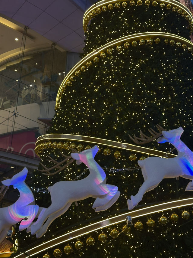 ✨🎄 𝐌𝐀𝐘𝐀 𝐂𝐇𝐑𝐈𝐒𝐓𝐌𝐀𝐒  🌲✨