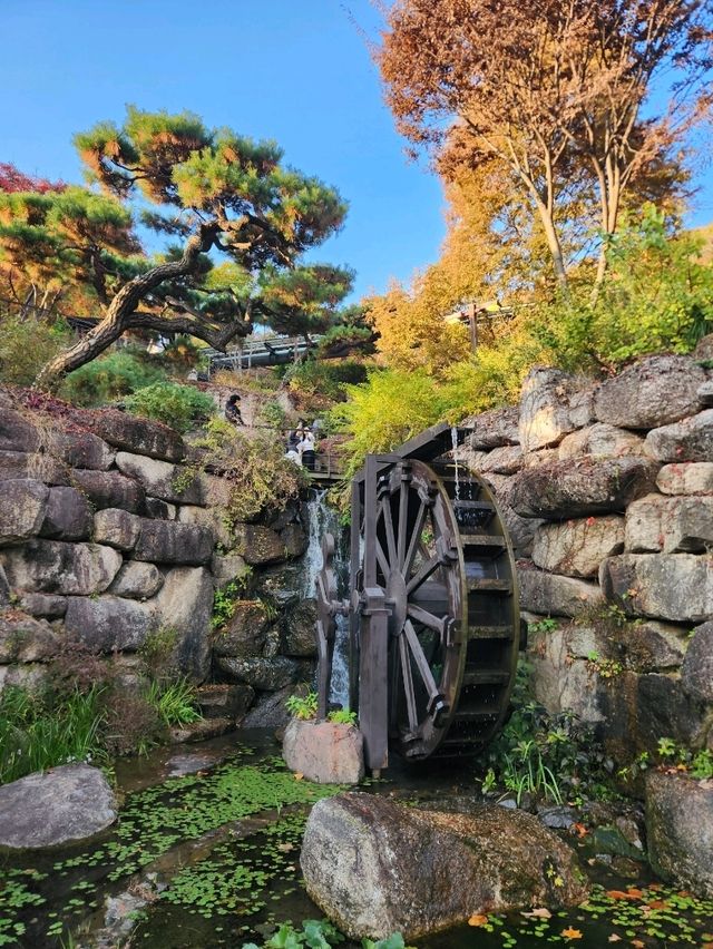 ❤️서울근교에서 가을을 느낄 수 있는 인기명소, "화담숲"❤️