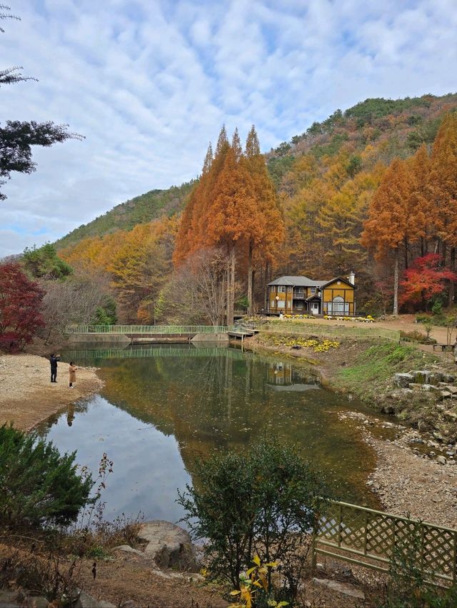 누구나 드라마속 주인공이 되는 가을여행지🍁