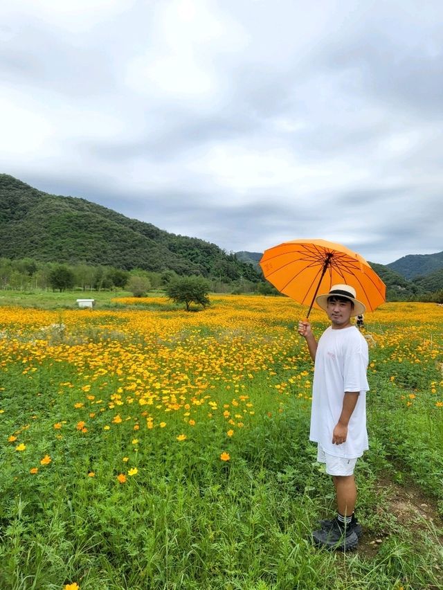 꼭한번 가봐야할 특별한 연천 재인폭포