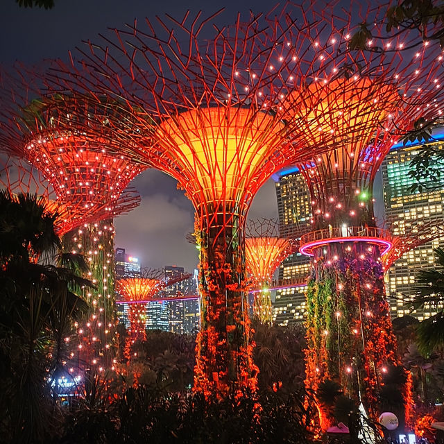 Illuminating Nights: The Aurora of Gardens by the Bay