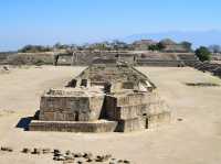 Exploring the Timeless Beauty of Monte Albán