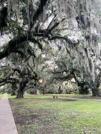 ［紐奧良旅遊］New Orleans City Park-最美麗的公園🍃⛲️