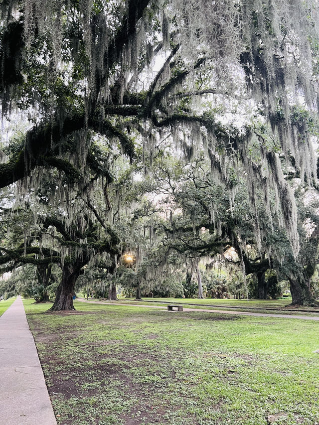 ［紐奧良旅遊］New Orleans City Park-最美麗的公園🍃⛲️