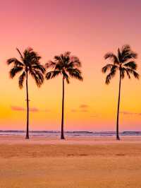 Aloha Palm Lovers: Hawaii Is Calling (And The Palms Are Waiting)