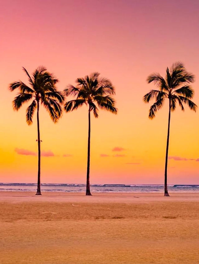 Aloha Palm Lovers: Hawaii Is Calling (And The Palms Are Waiting)
