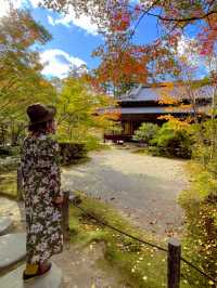 京都観光☺️美しい枯山水・池泉回遊式庭園🍁🌿天授庵