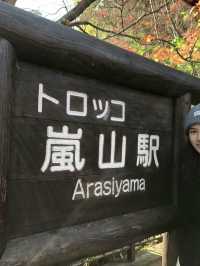 Arashiyama Kyoto🎍🇯🇵