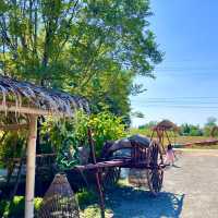แนะนำร้านอาหารมิชลิน ไกด์ “คลังนาปลาข้าว”