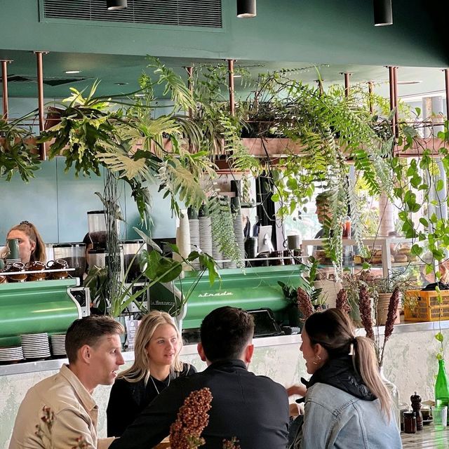 beautiful cafe
