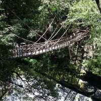 日本三大秘境～步步驚魂之《祖谷のかずら橋》