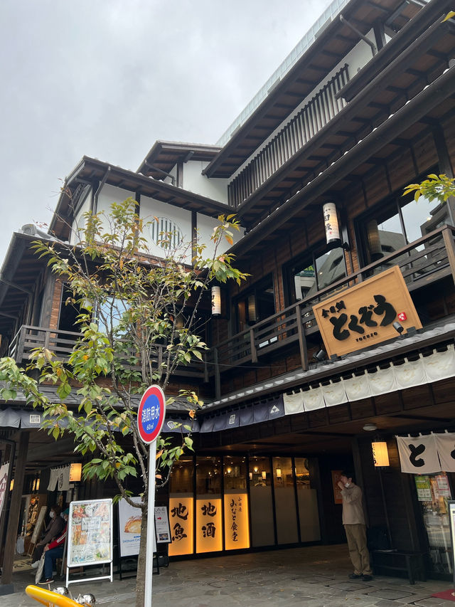 【神奈川🇯🇵】昔ながらの街並みを楽しめるエリア