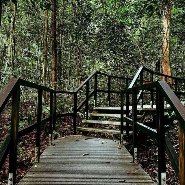 MacRitchie Reservoir Park
