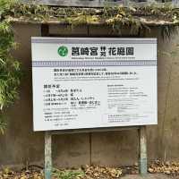 福岡筥崎宮 - 隱世之美，紅葉如畫