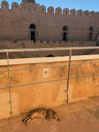 Historic landmark Ribat of Sousse
